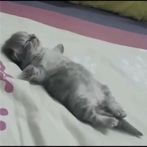 Meet your Posher, Htee